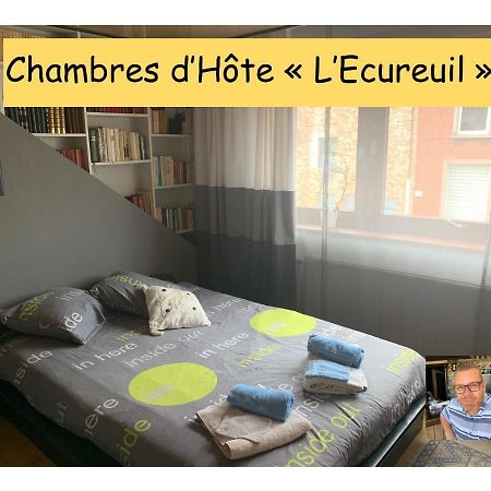 Chambres D'Hote "L Ecureuil" Proche De Mons, Pairi Daiza, A Cote De Spark'Oh Frameries Buitenkant foto